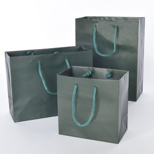 ROPE HDL PAPER TOTE GREEN