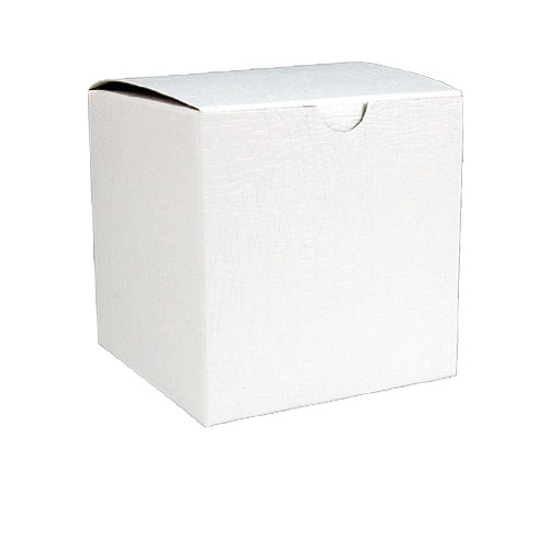 TUCKIT BOX WHITE ALLIG